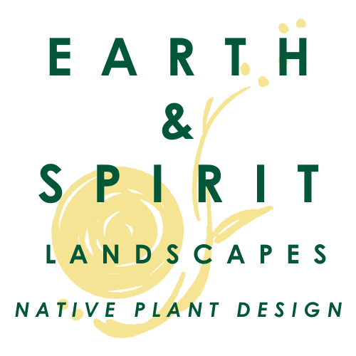 Earth And Spirit Landscapes